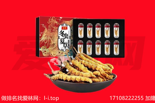 江山市回收虫草.jpg